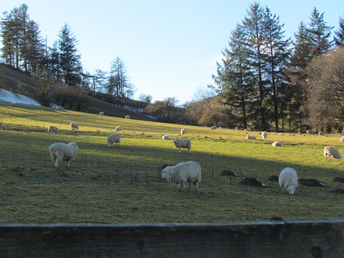Wild Valley Bunkhouse Llanrhaeadr-ym-Mochnant Exterior foto